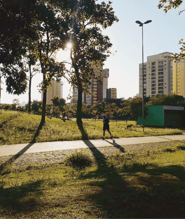 Städtischer Park mit Bäumen – Urban Forestry und Stadtgrünberatung